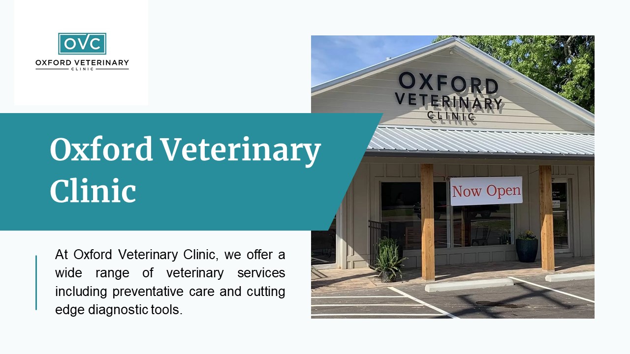 PPT Benefits of Dog Grooming Oxford, MS PowerPoint presentation