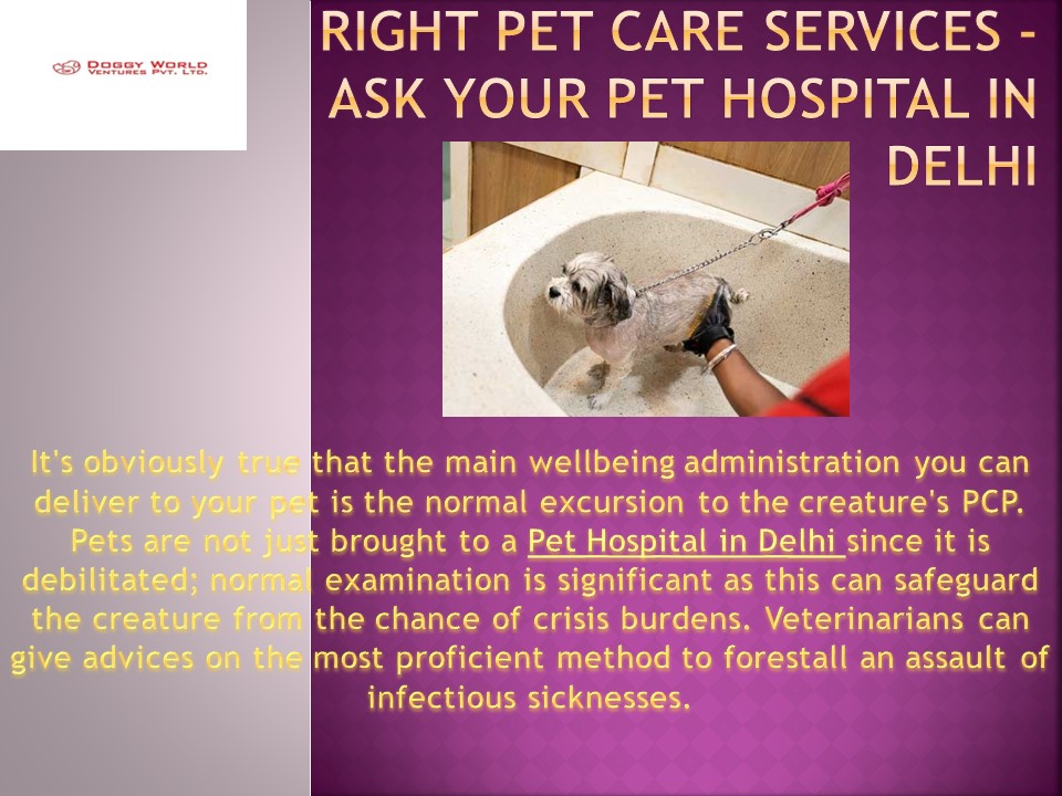 PPT Best Pet Hospital in Delhi PowerPoint presentation free to