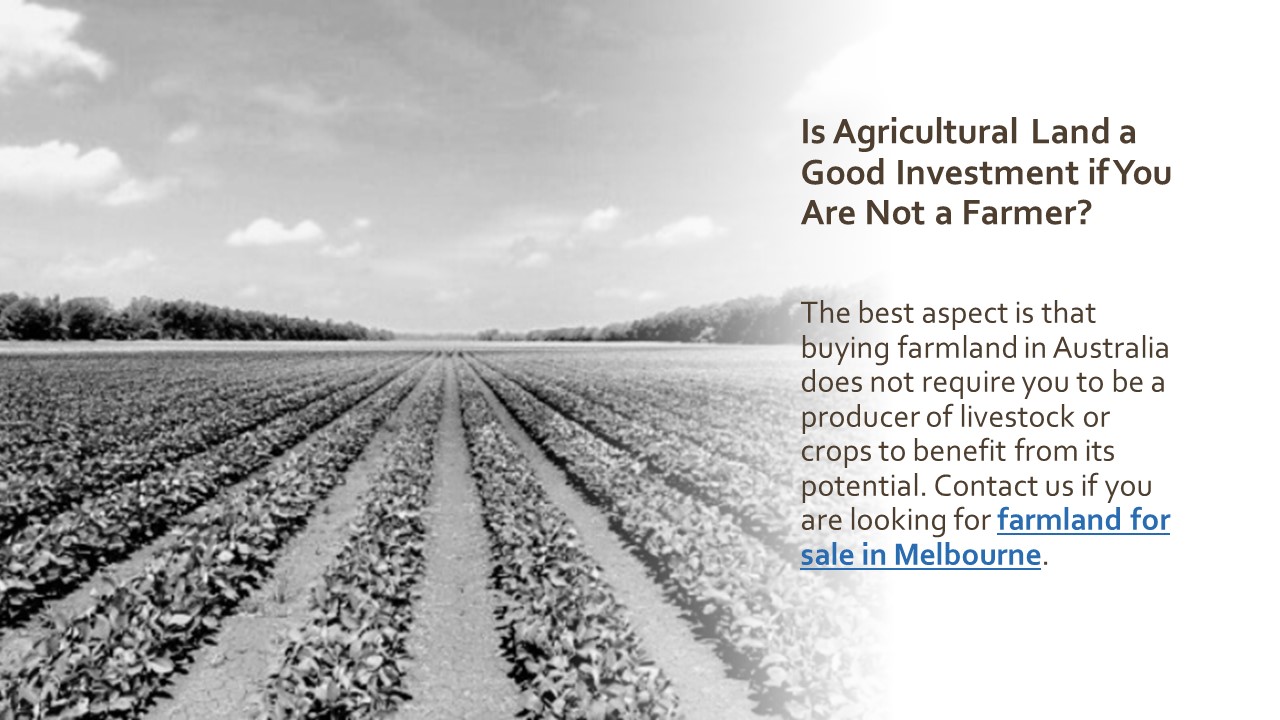 PPT Is Agricultural Land a Good Investment if You Are Not a Farmer