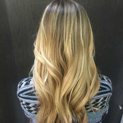 Hair Salons in Palm Harbor, Florida Salon Lofts in Palm Harbor Palm