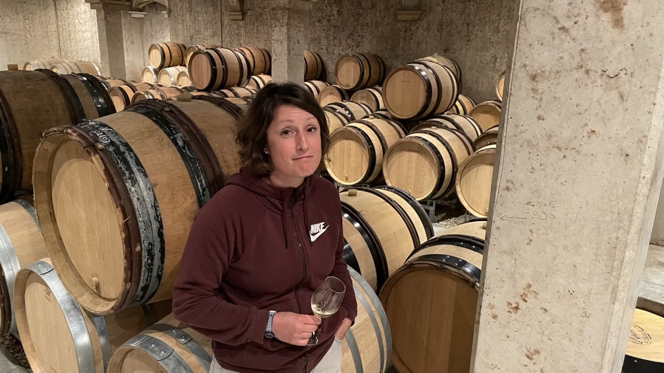 Swings and Roundabouts Chablis 2020/2021 (Sep 2022) Vinous Explore