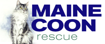 Maine Coon Rescue | Lerona, West Virginia