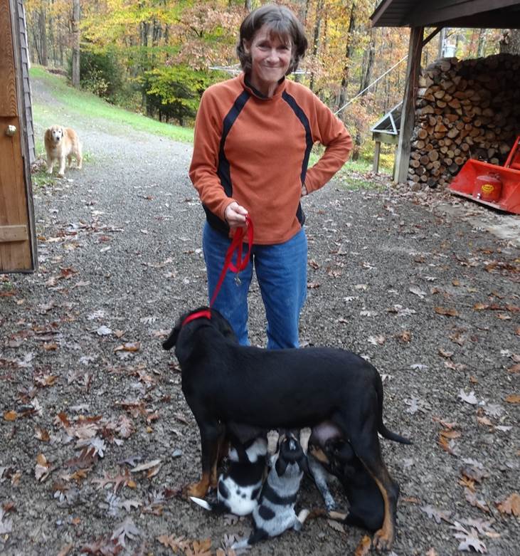 Foster A Pet! Randolph County Humane Society