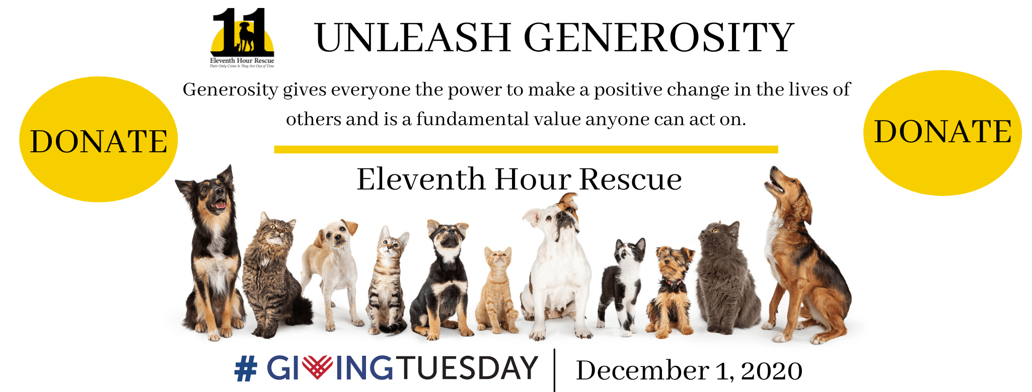 Pet Rescue Nj The W Guide