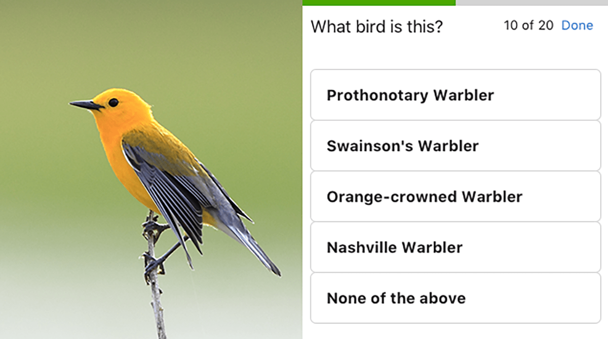 Texas eBird Discover a new world of birding...