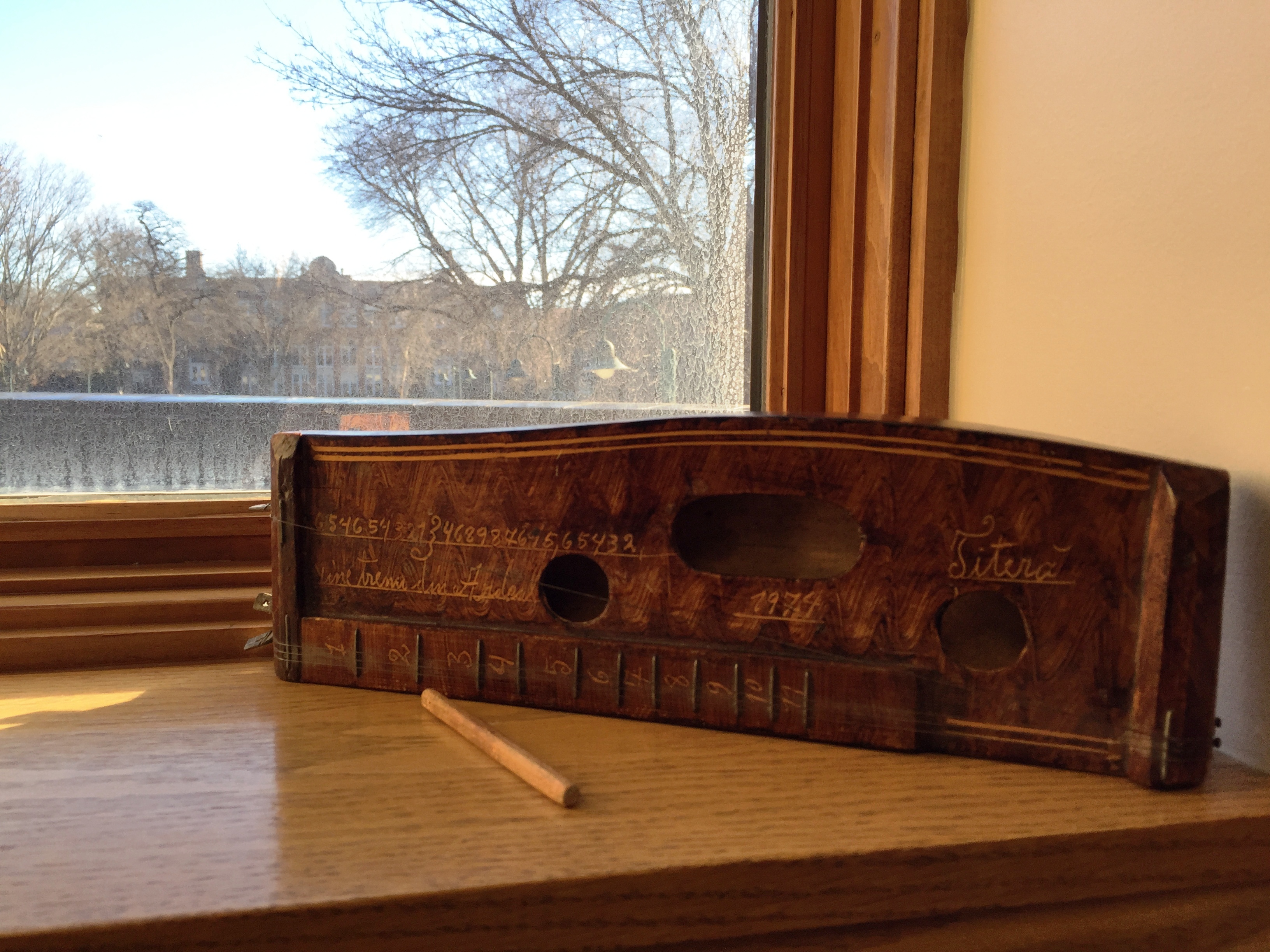 Citera The M. Paula Survilla Collection of World Instruments