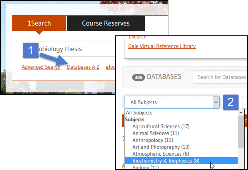 2. Find Articles Researching the Literature Review LibGuides at