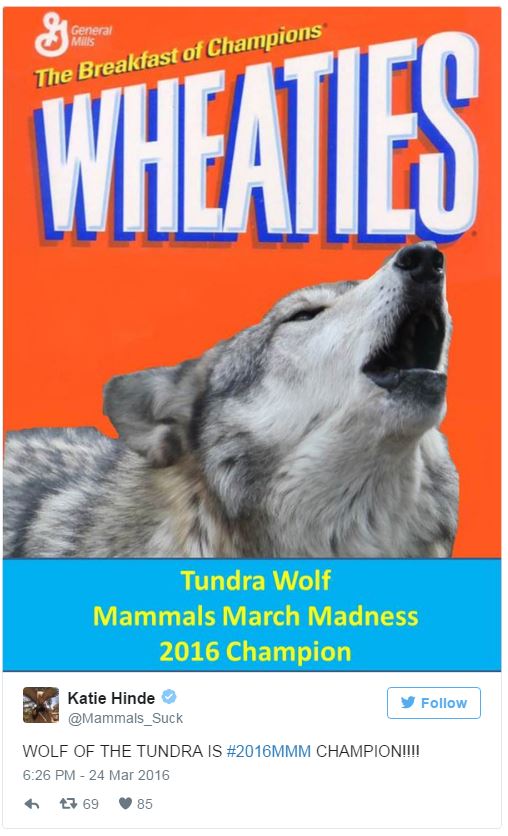 2016MMM March Mammal Madness LibGuides at Arizona State University
