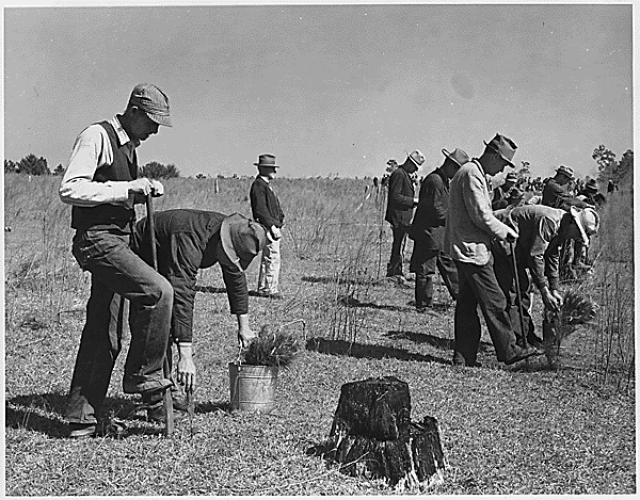The Great Depression Of Mice and Men Digital Learning Commons at