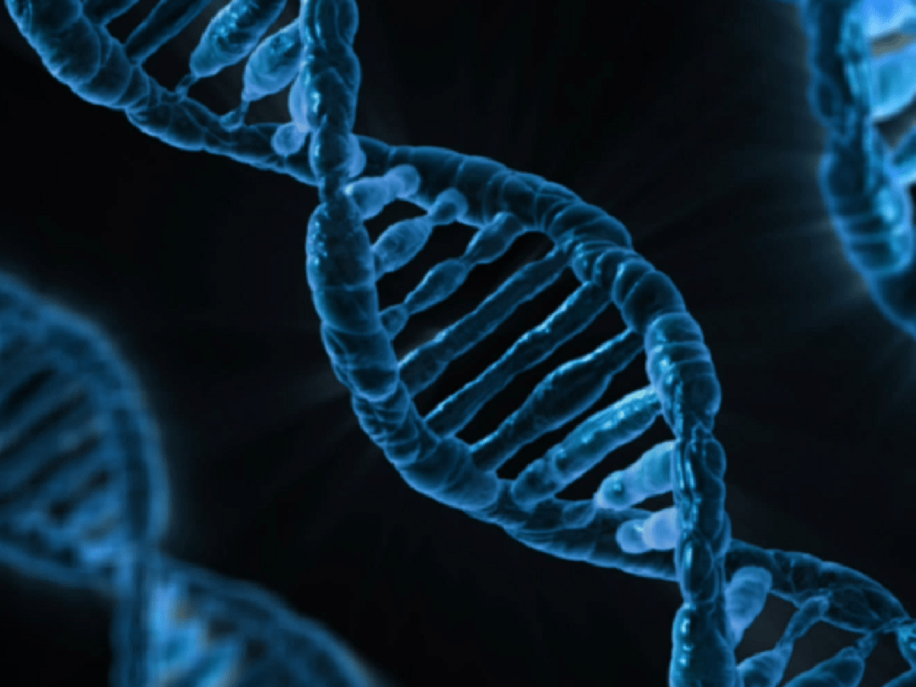 Biology Resources Biology LibGuides at Schoolcraft College