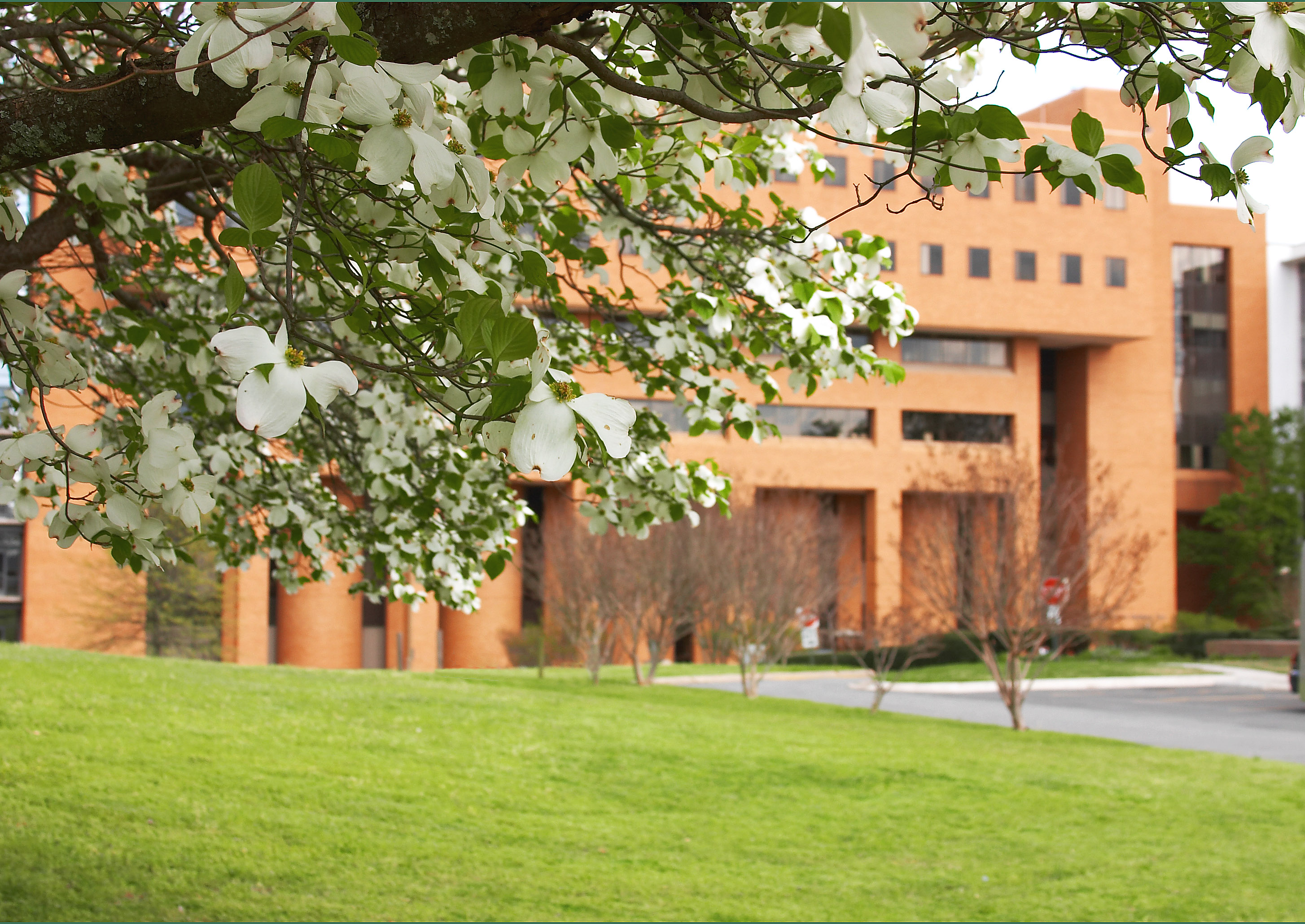 Central Arkansas Library Systems Your Library Account All  Pages