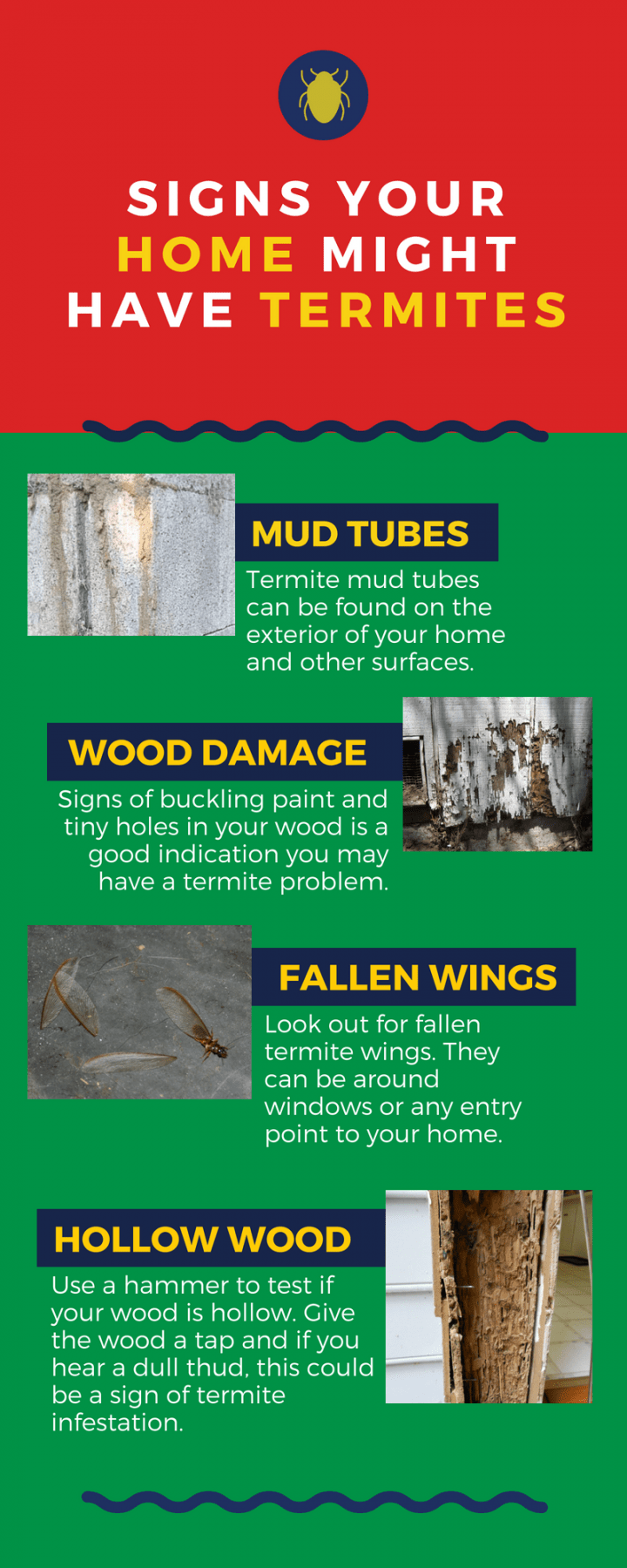 Pest Control Columbia MO Pest Control Termites Bed Bugs