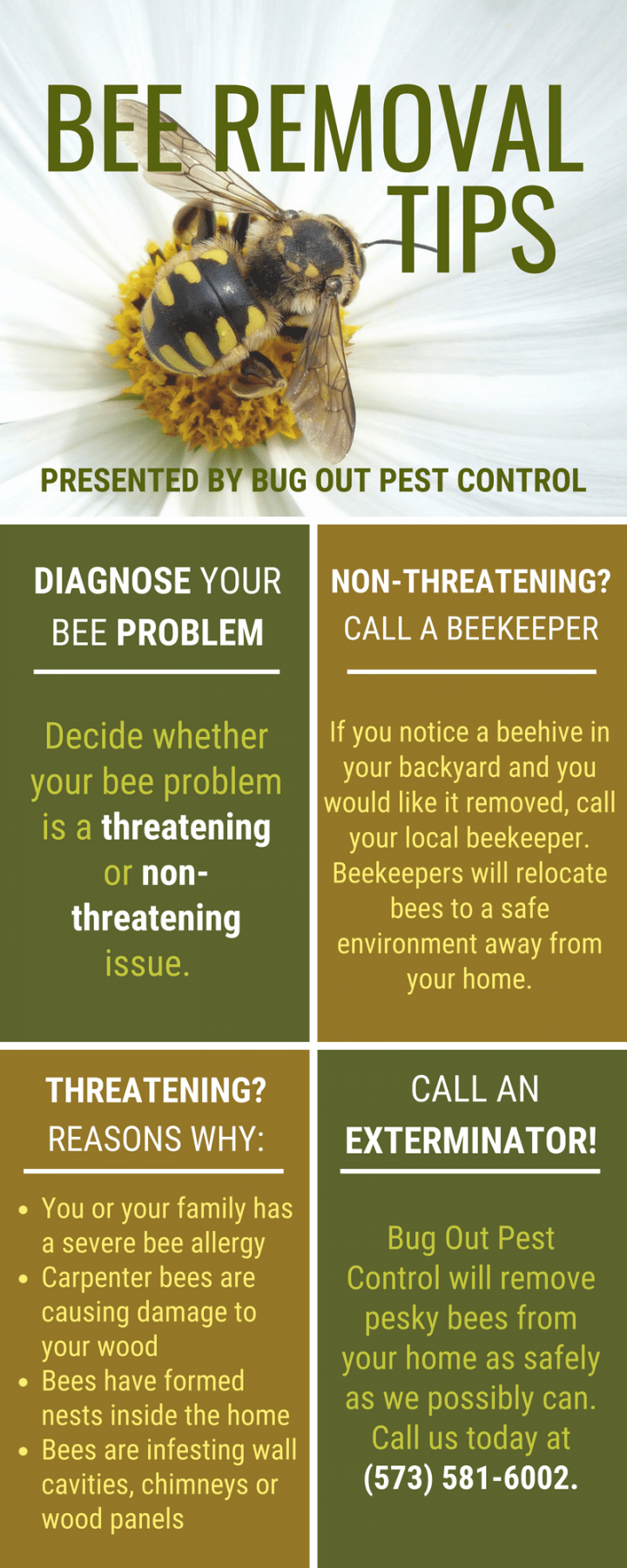 Bee Removal Infographic BugOut