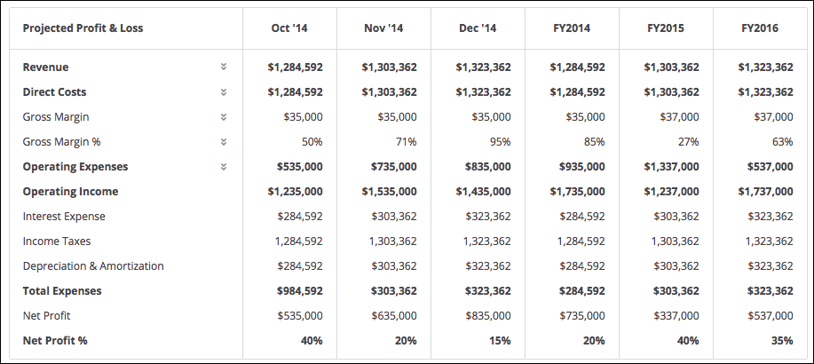 Reading the Profit and Loss (P&L) statement Palo Alto Software