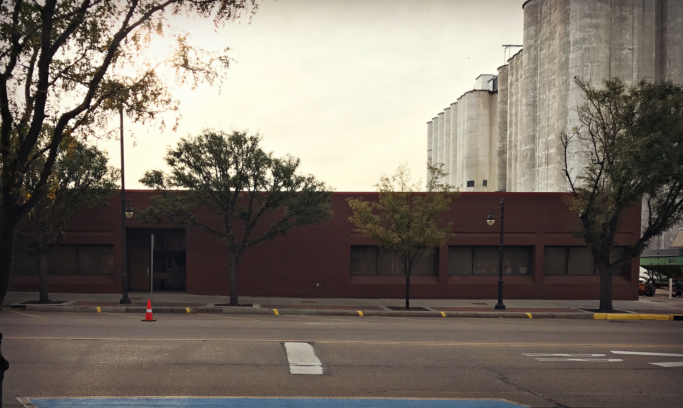 Sunflower Electric Garden City Station Garden Design