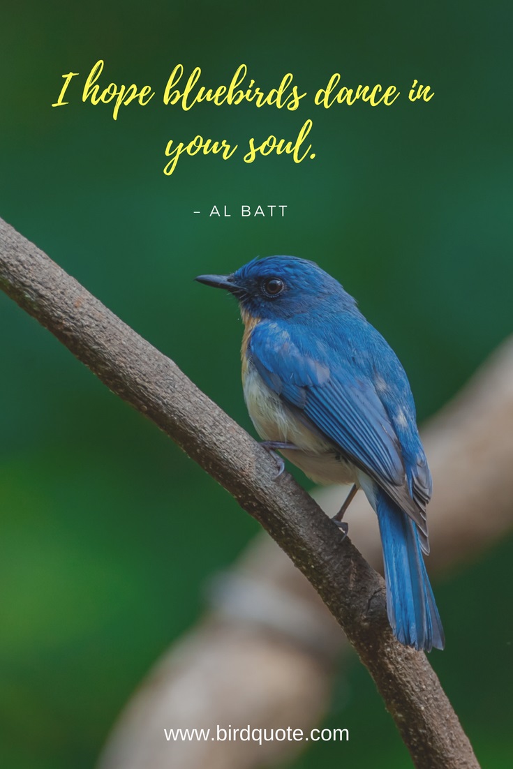 Bluebird Songs Poems Bird Quote Birds, Quotes, Trivia and More