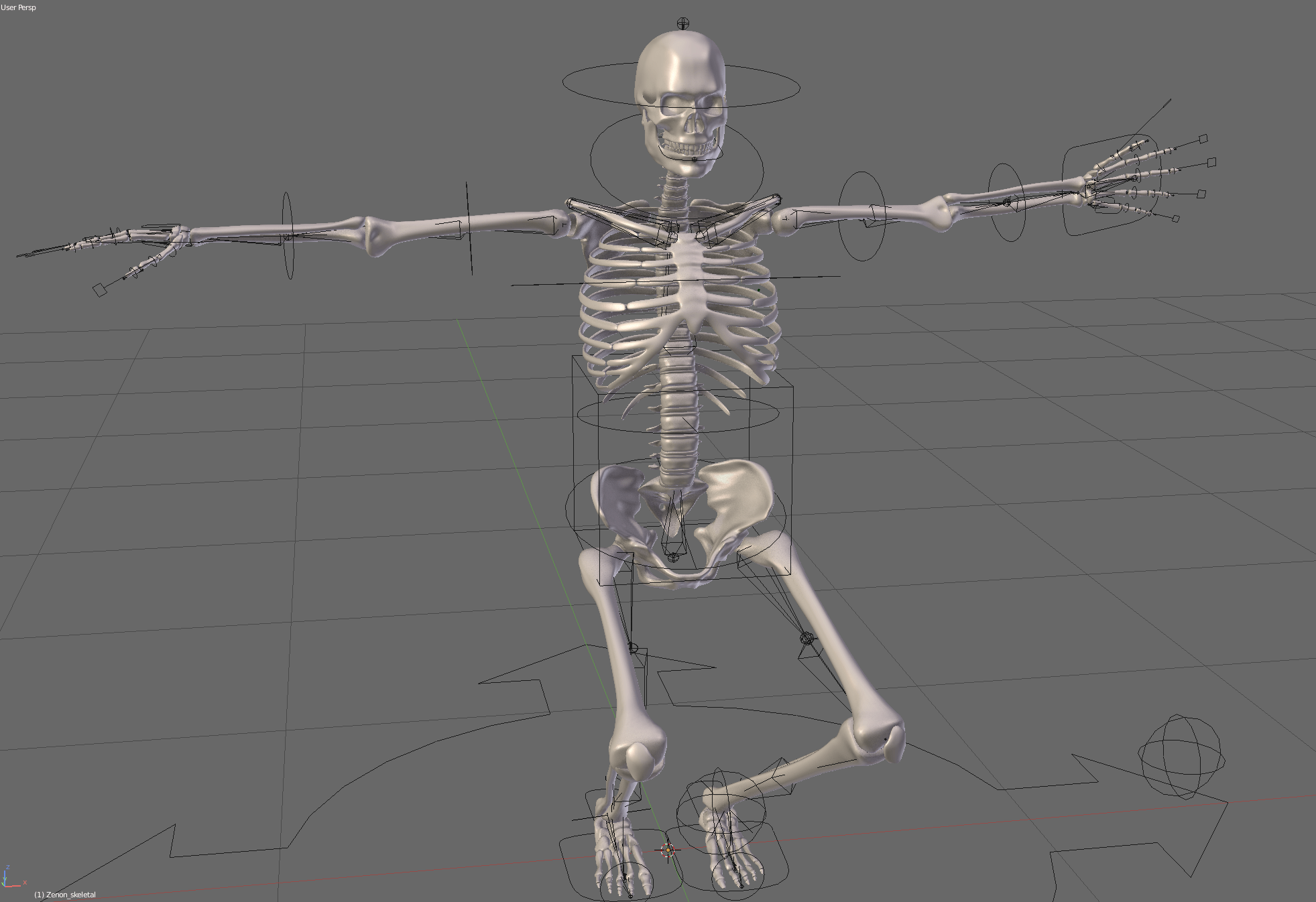 Human Skeleton 3D Model Blender