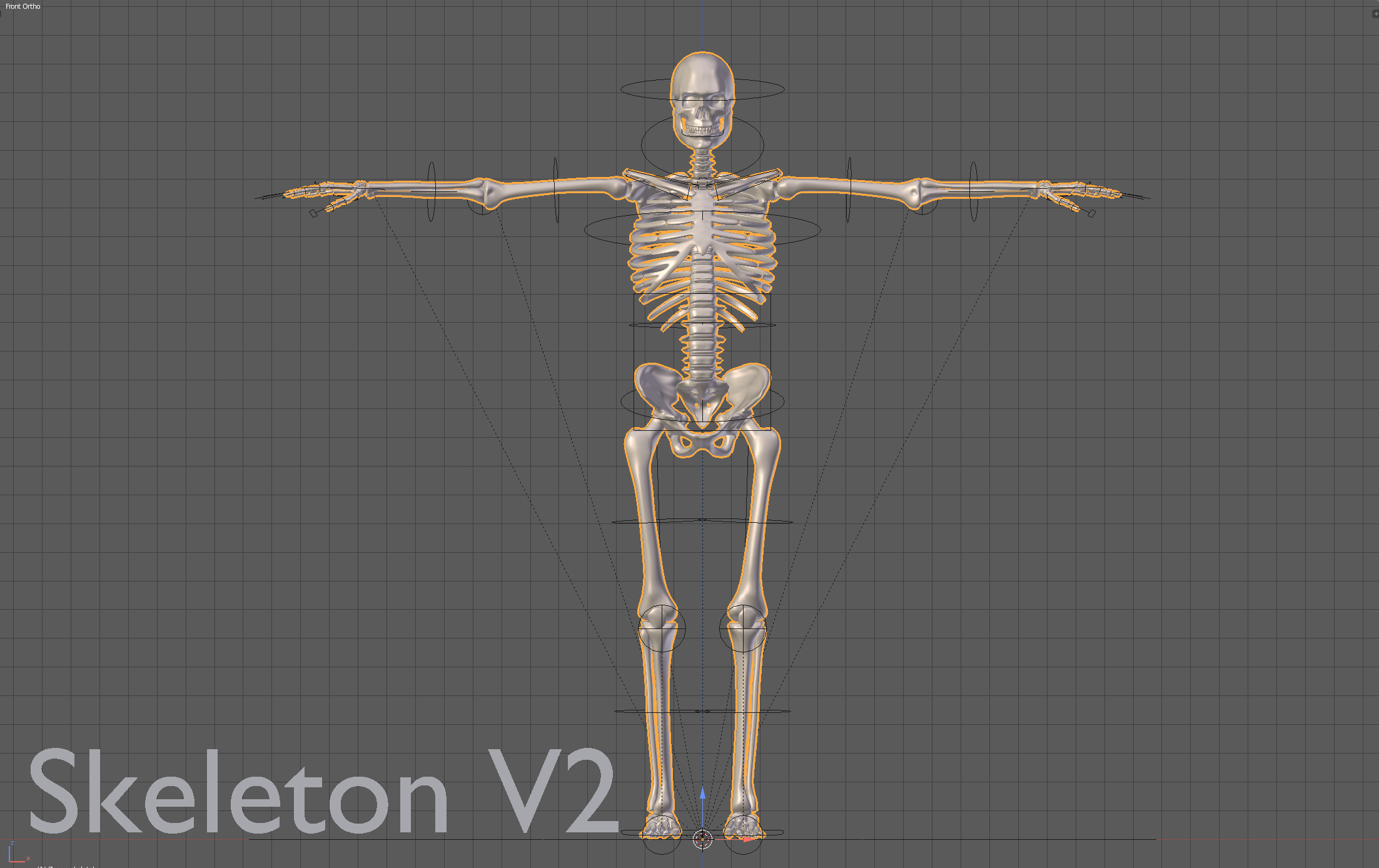 Skeleton 3d Model Blender