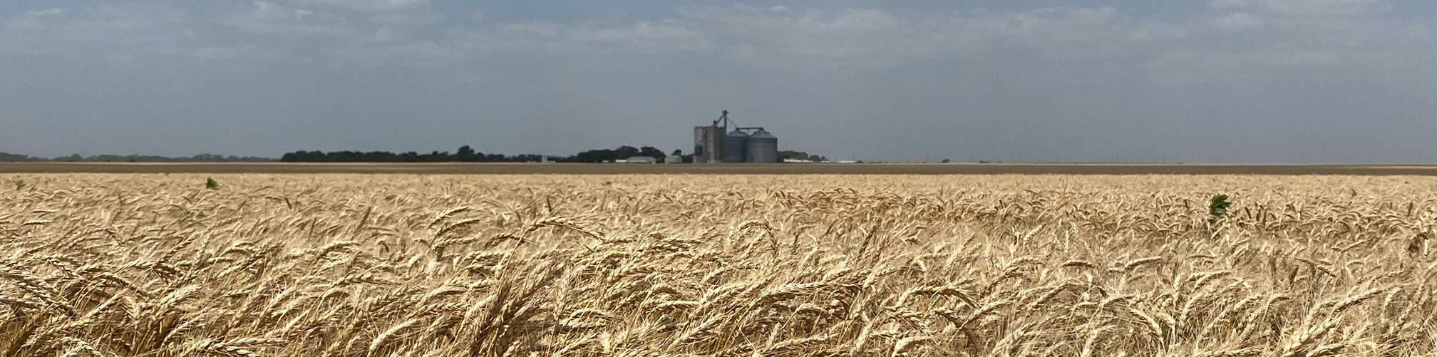 Garden Plain Coop Homepage