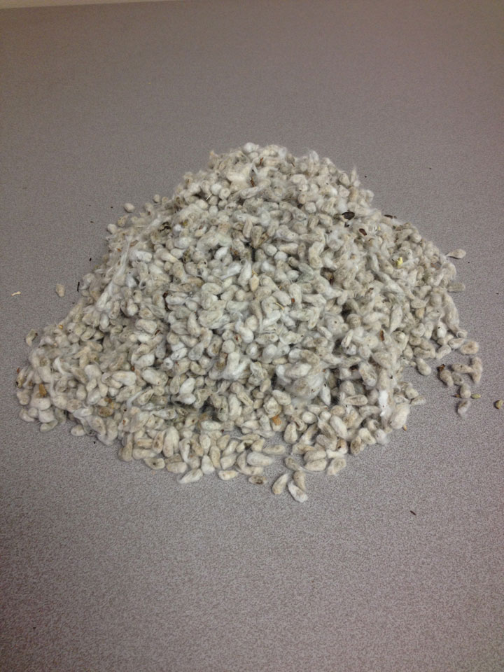 Planters Cotton Oil Mill, Inc. Products