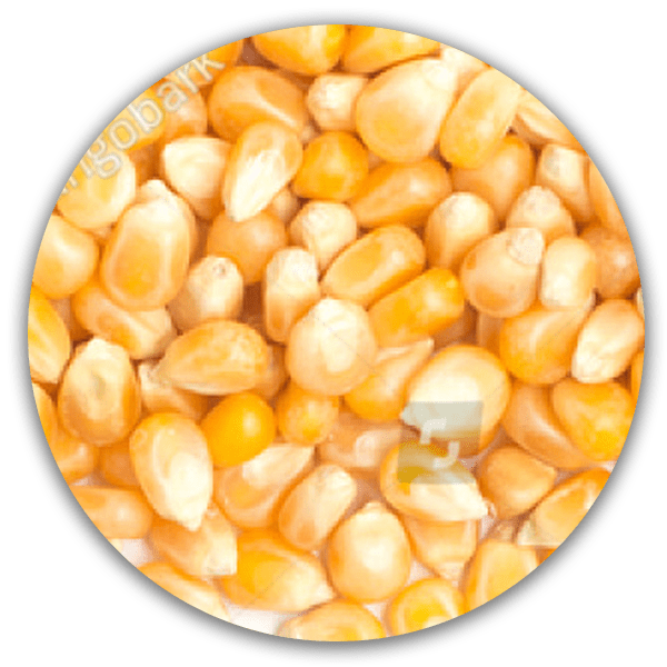 StatelineLine Cooperative Locations