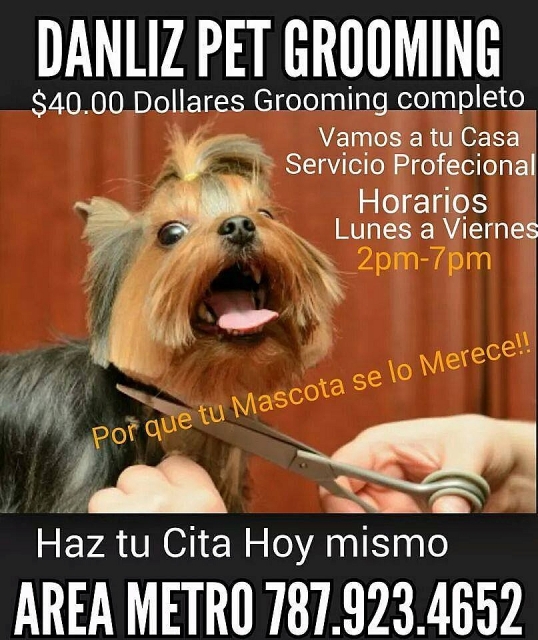 Grooming a Domicilio para Perros medianos y pequenos para Compra/Venta