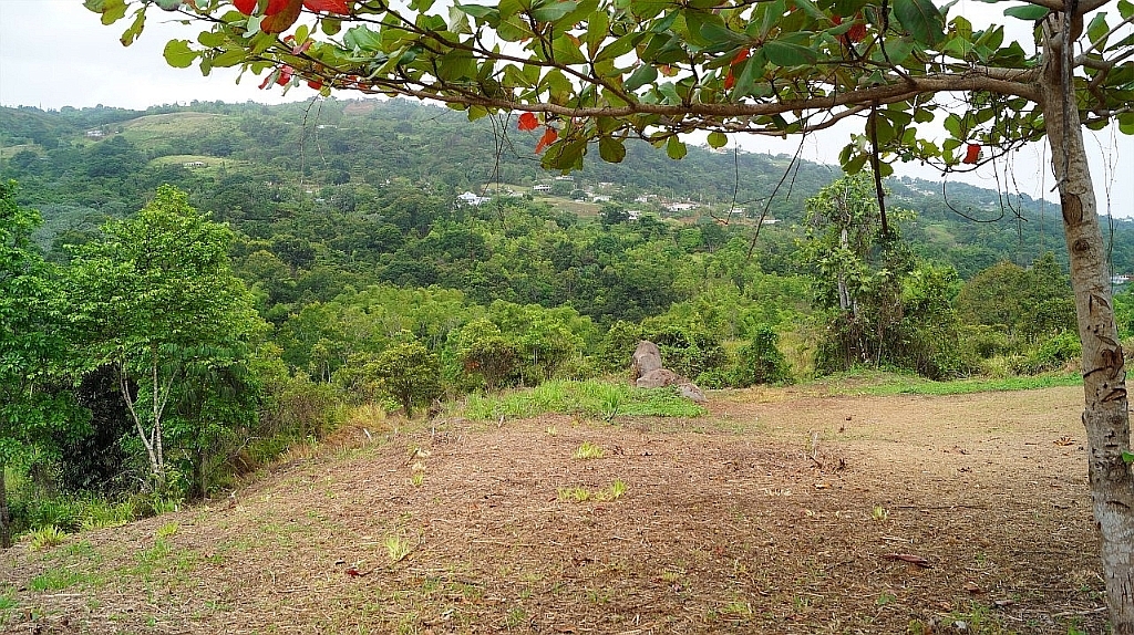 Fincas Terrenos Solares En Venta Rio Grande Puerto Rico Bienes Raíces