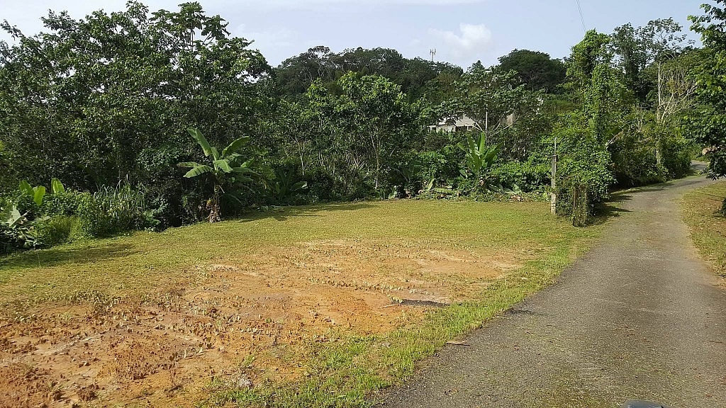 finca para Compra/Venta en Utuado Bienes Raíces en