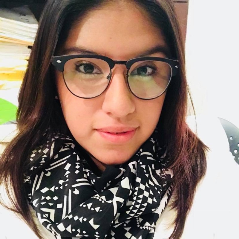 Brenda Ivet Carmona Sánchez email address & phone number Sygno IT