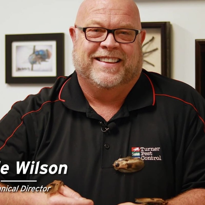 Wade Wilson email address & phone number Turner Pest Control Vice