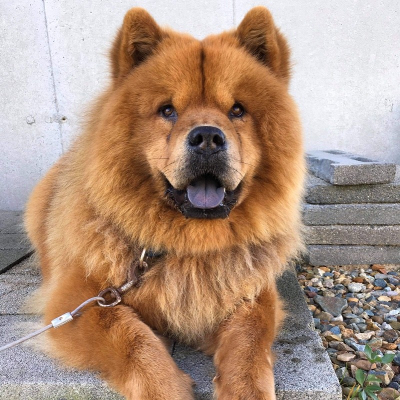 Annie Hughes email address & phone number Birchwood Soap Company Director Of Operations and