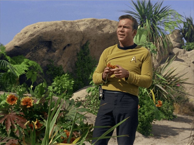 27 stunningly beautiful shots from the first season of 'Star Trek'
