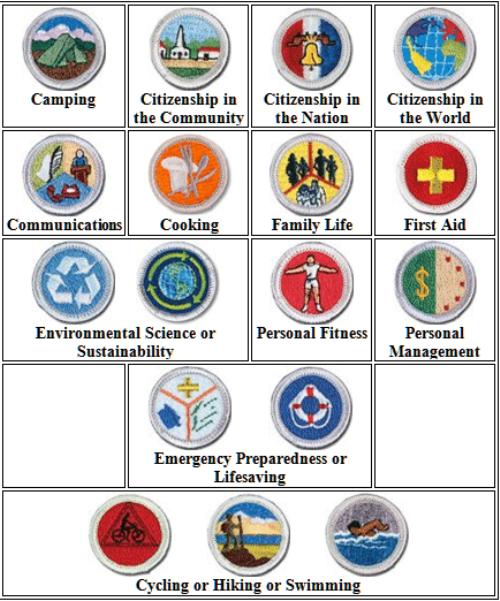2023 Printable List Of Merit Badges Orland Park Scoutsbsa Troop 318 - (Tinley Park, Il) - Powered By Leaguelineup.com