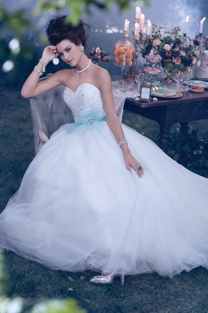 NEONSCOPE Dreamy Disney Princesses by Alfred Angelo