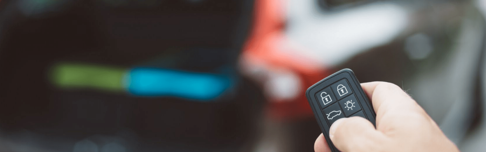 BarkMart Furgentry, Pet Supplies Graniteville SC, Flea Funerals