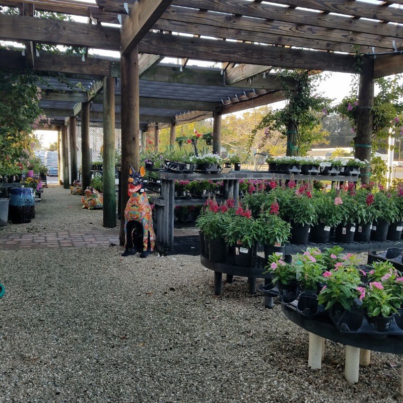 Gallery Plants & Flowers, Pottery, & More! A&G Lawn and Garden