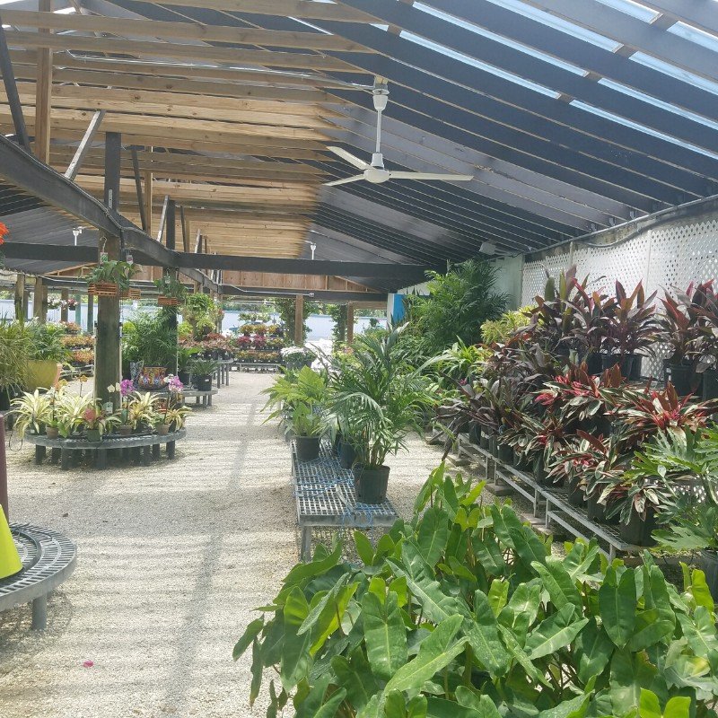 Gallery Plants & Flowers, Pottery, & More! A&G Lawn and Garden