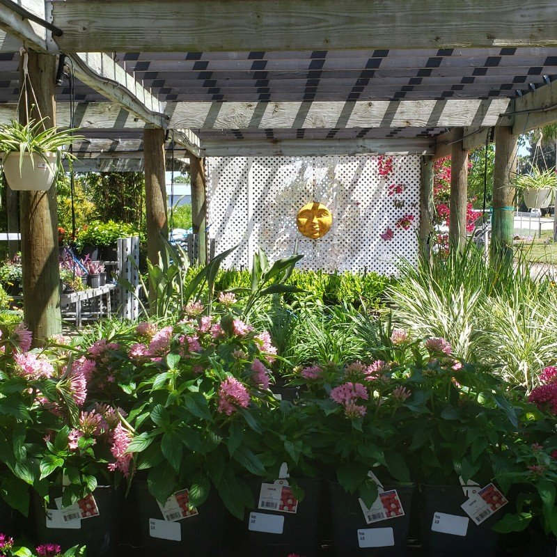 Gallery Plants & Flowers, Pottery, & More! A&G Lawn and Garden