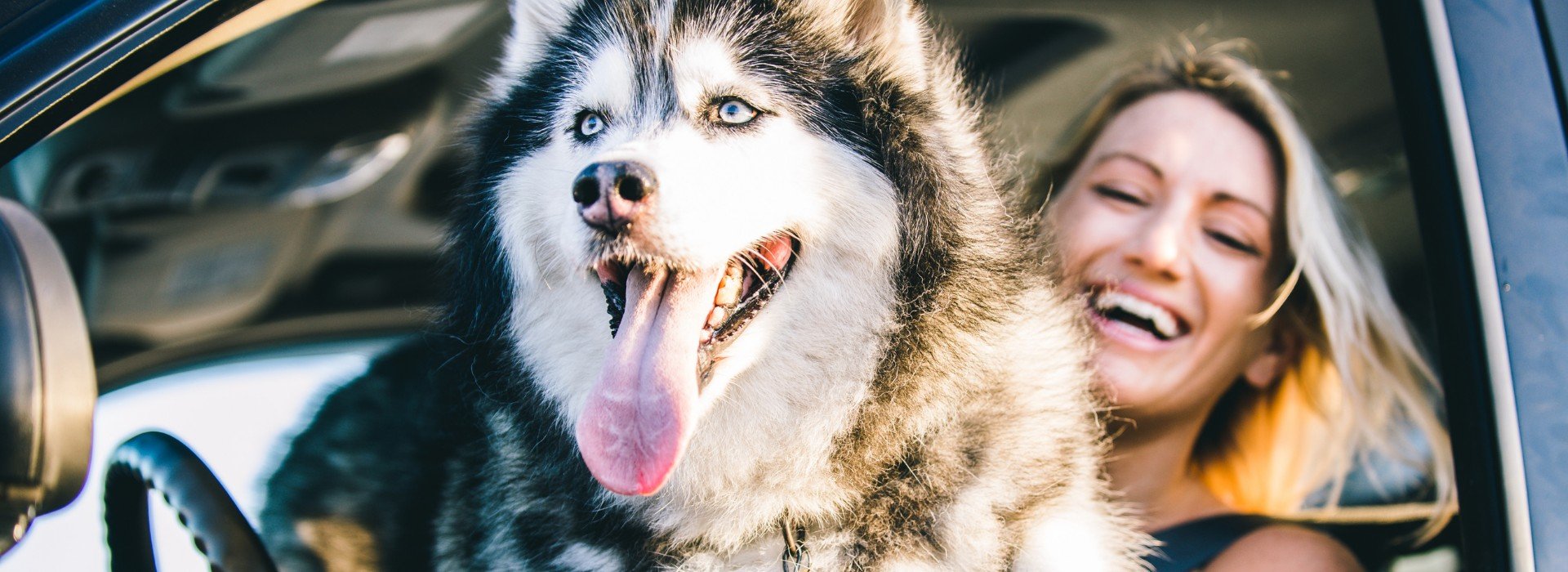 Wiscoy Pet Food Company Your Local Pet Supply Store Since 1990