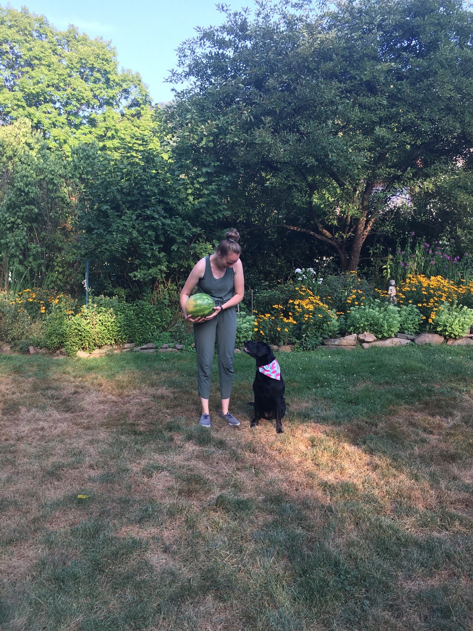 Check Out Our Pack Wiscoy Pet Food Co. State College, PA