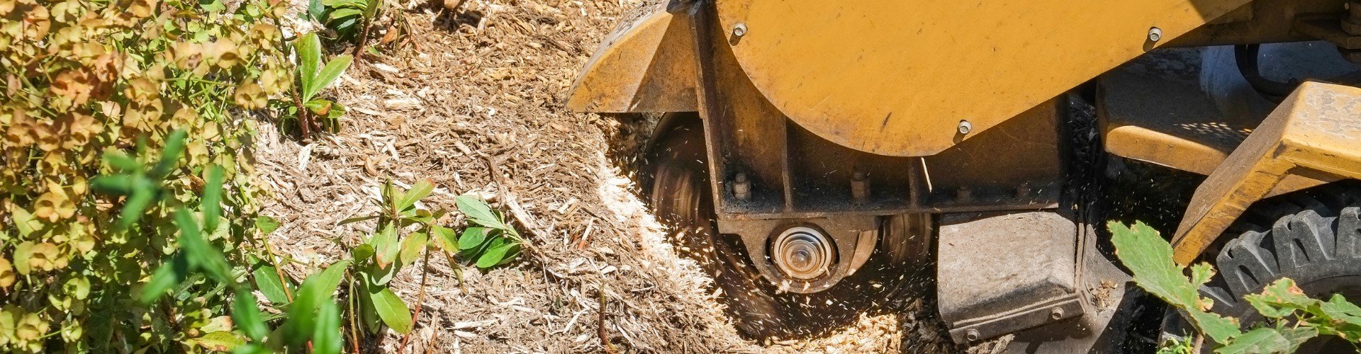 Freedom Equipment and Event Rentals Freedom Equipment Rentals