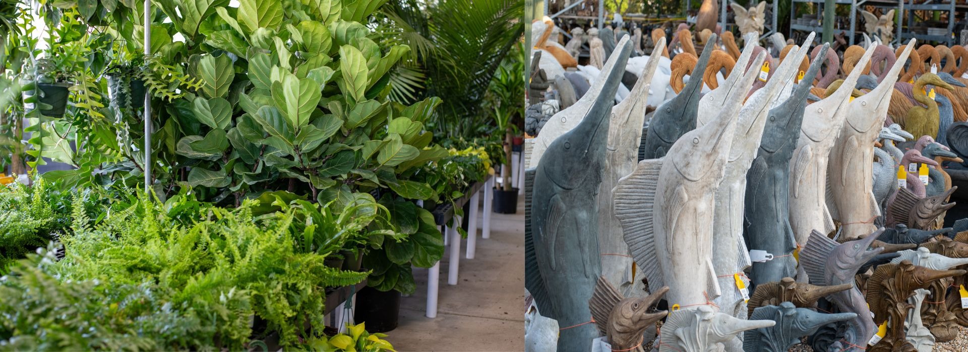 MRT Venice FL, MRT Landscaping FL, Garden Center Venice fl MRT Lawn