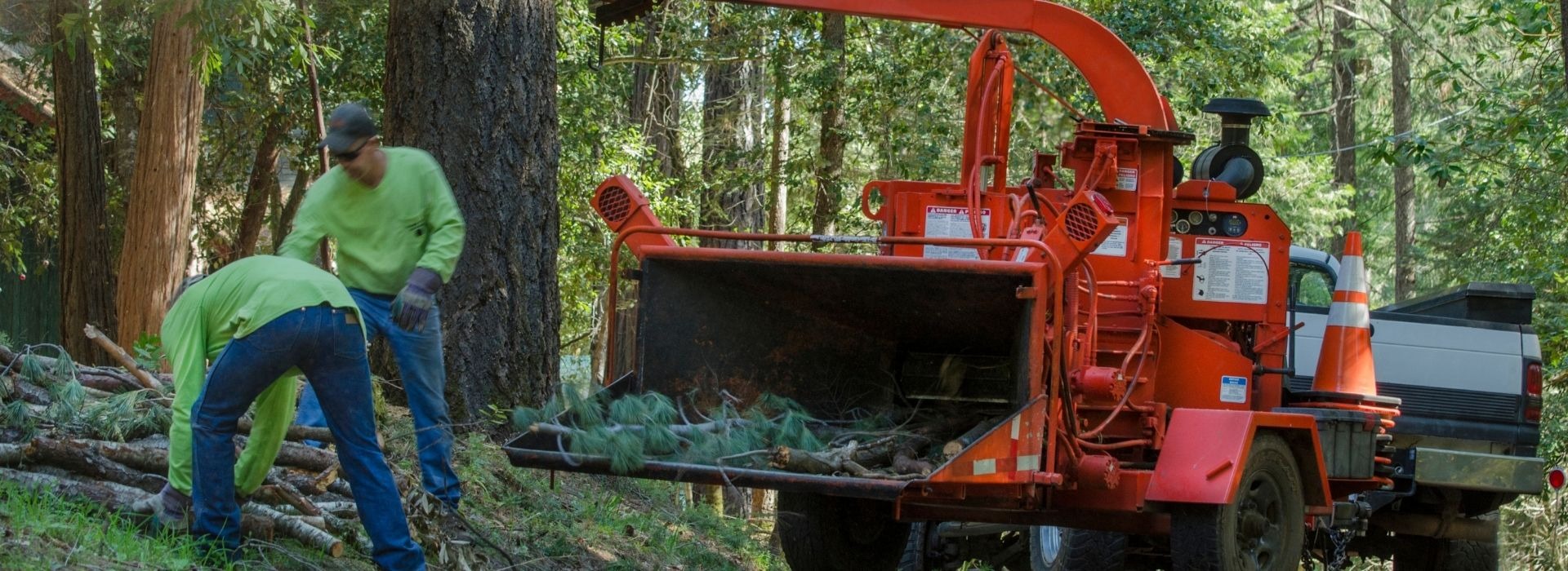 Equipment Rentals for Contractors, Landscapers & DIYers Lifts, Paint