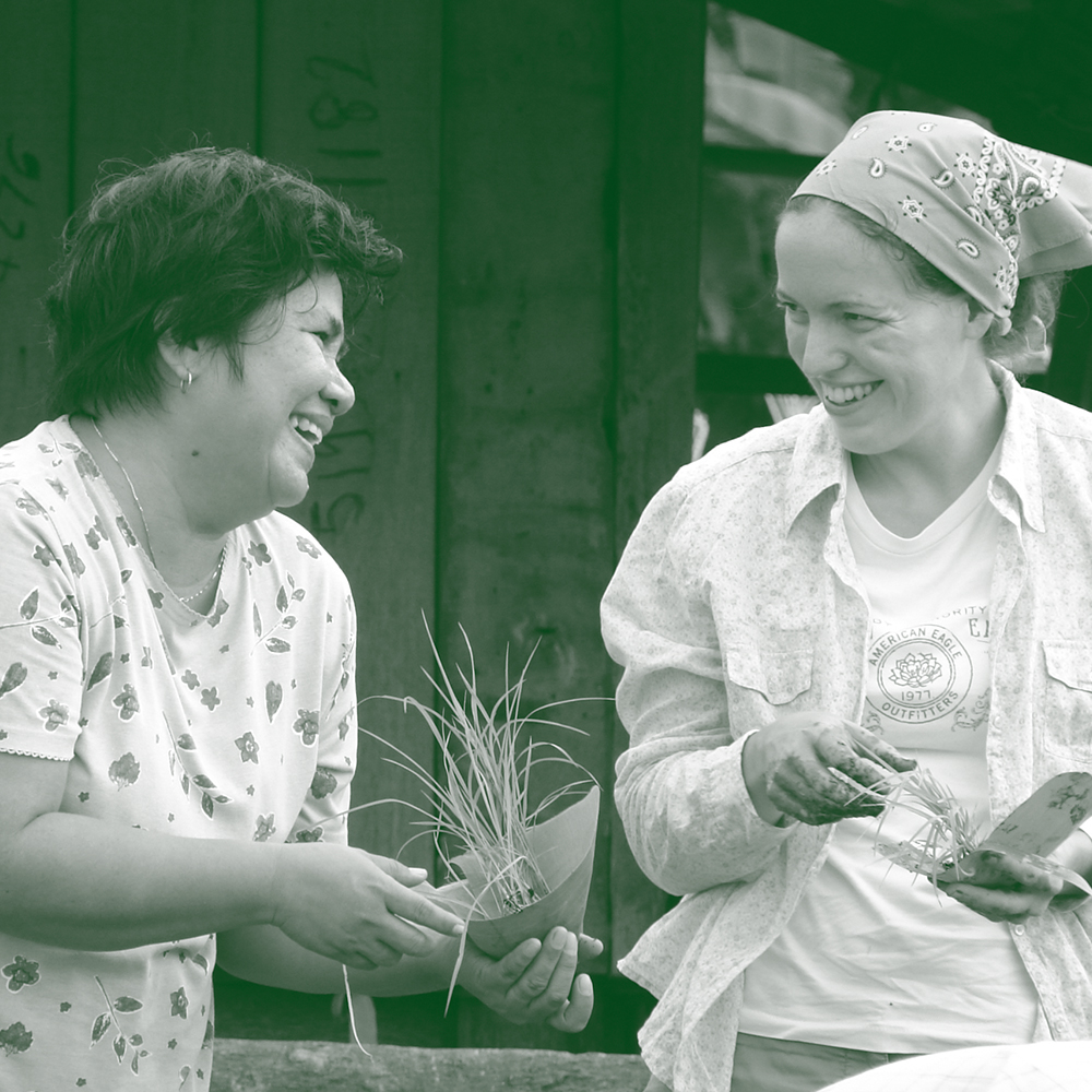 Transforming Lives Globally New International