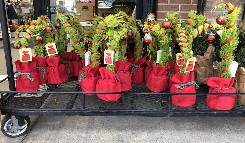 Trader Joe's Is Selling A Grinch-Inspired 'Grump Tree' For The Holiday Season