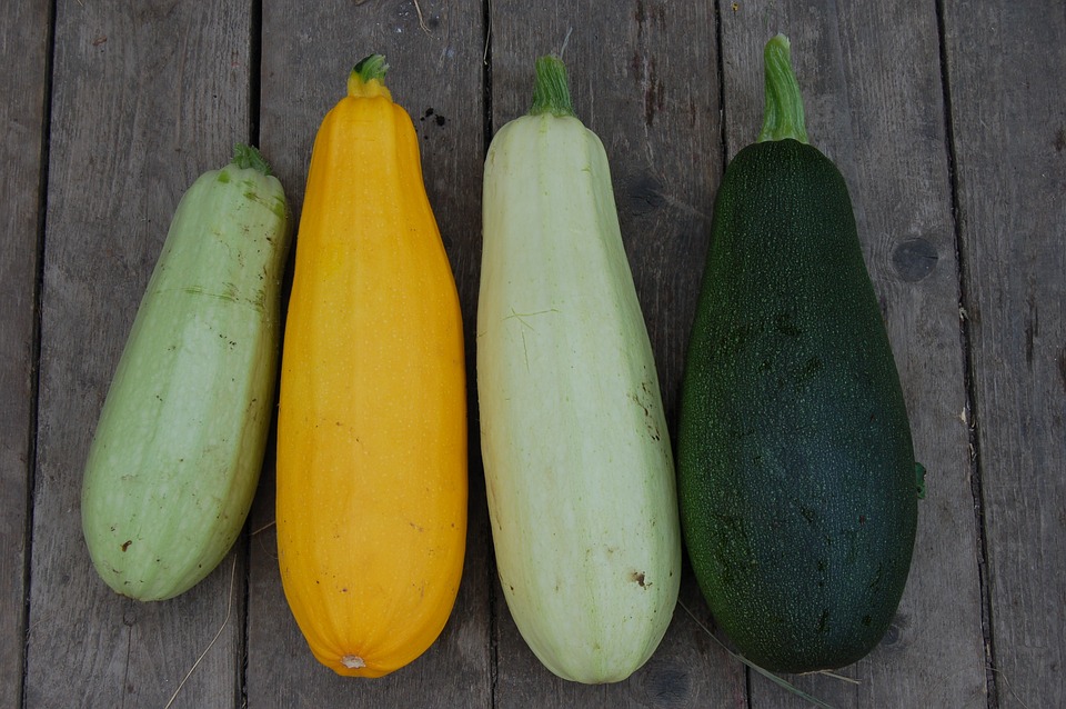 Zucchini or Eggplant? Do you care which one is healthier?