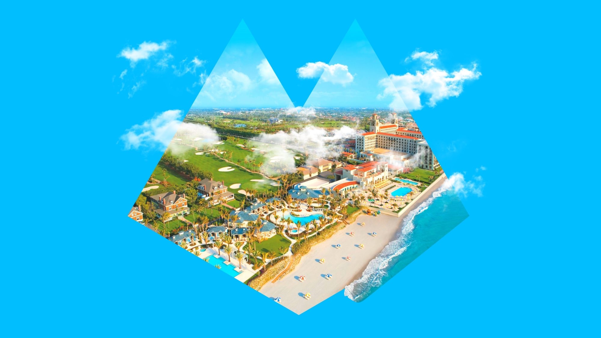 The McBride Company Paper Tiger