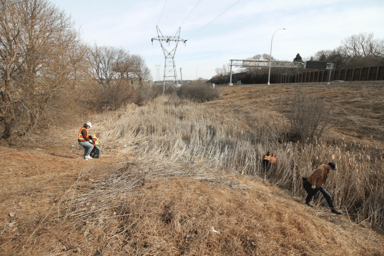 Annual Kasota Ponds Cleanup Coming Park Bugle