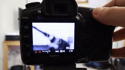 How to Autofocus Your DSLR in 3 Easy Steps