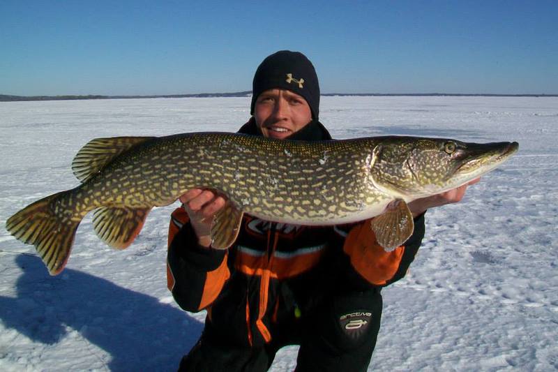 Caught a Northern Pike on Lake Mendota using a Shiner